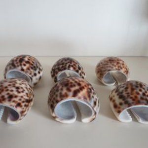 Cowrie Shell Napkin Ring Holders - animal print, spotted - set of 6